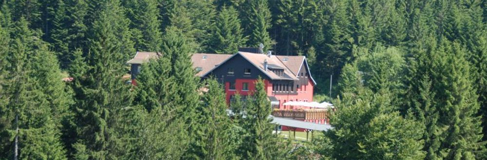 Hotel Restaurant Spa Les Jardins De Sophie Xonrupt-Longemer Eksteriør bilde